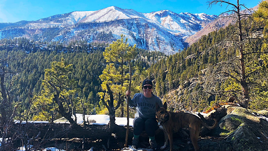 A Beginner's Half Marathon Training Journey